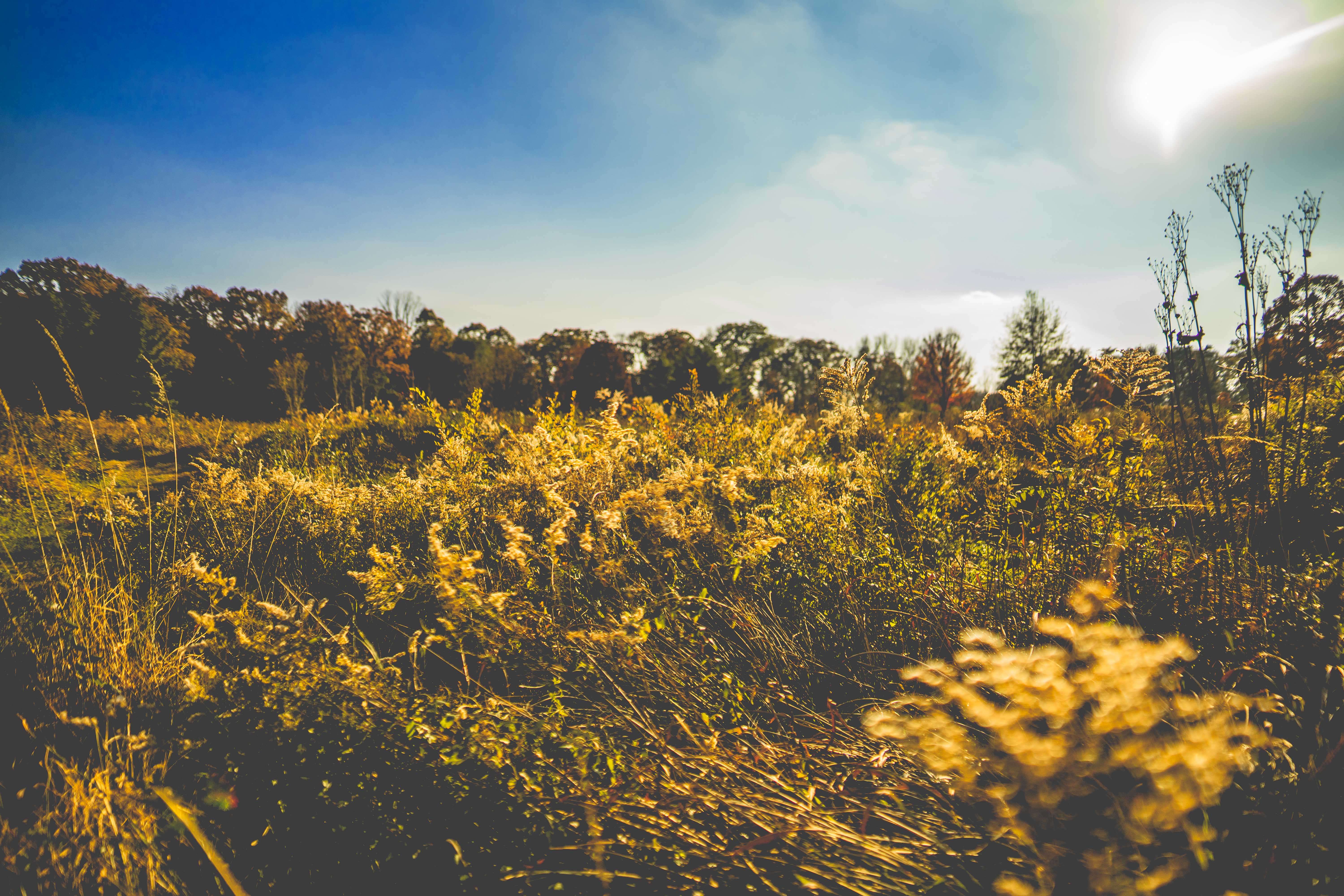 Liên hoan hợp xướng cụm Thanh Xuân - Cầu Giấy: Vang mãi bài ca dâng Đảng kính yêu